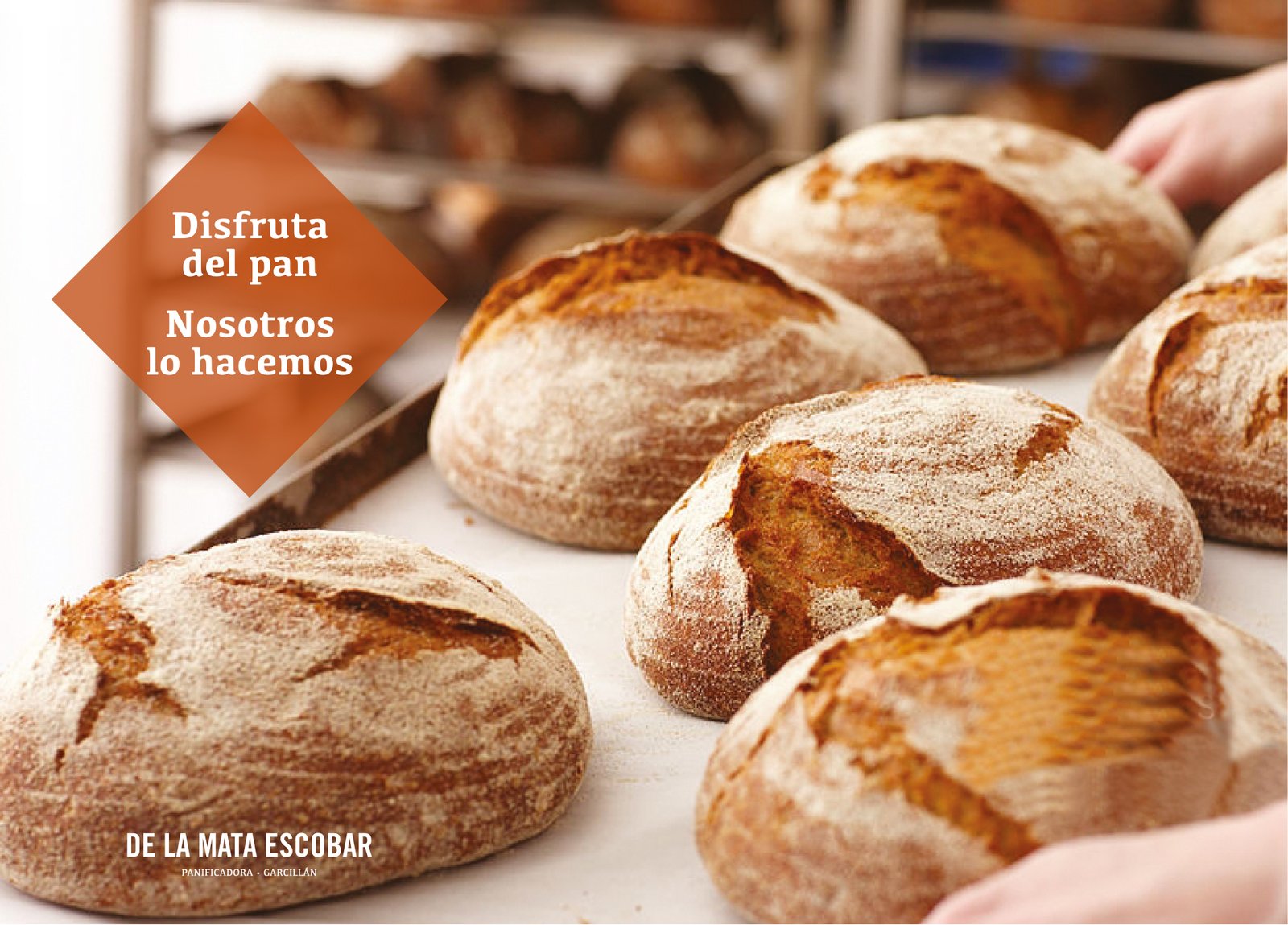 Panes con diferentes formas y texturas